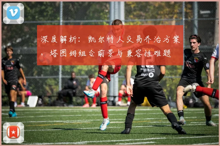 深度解析:凯尔特人交易乔治方案,塔图姆组合前景与兼容性难题